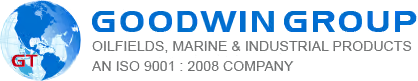 GOODWIN TRADING LLC